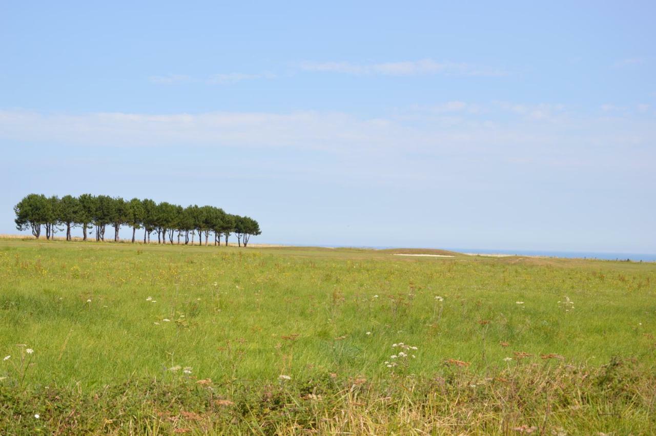 Maison 7/8P Privilege Dans Residence Pierre & Vacances Green Beach Port-en-Bessin-Huppain Eksteriør billede